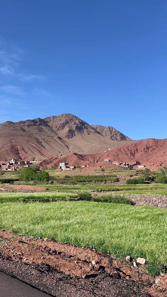 Vale verde do Alto Atlas com montanhas avermelhadas ao fundo, Marrocos